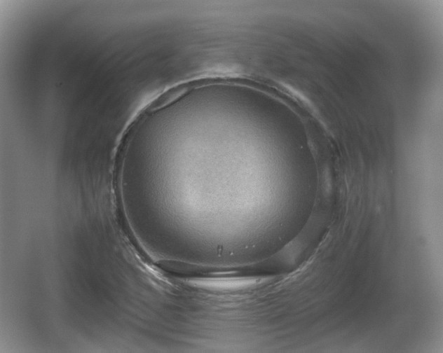 X0000066541168200603241403