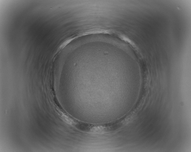 X0000066541169200603241403