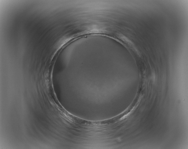 X0000066541170200603241403