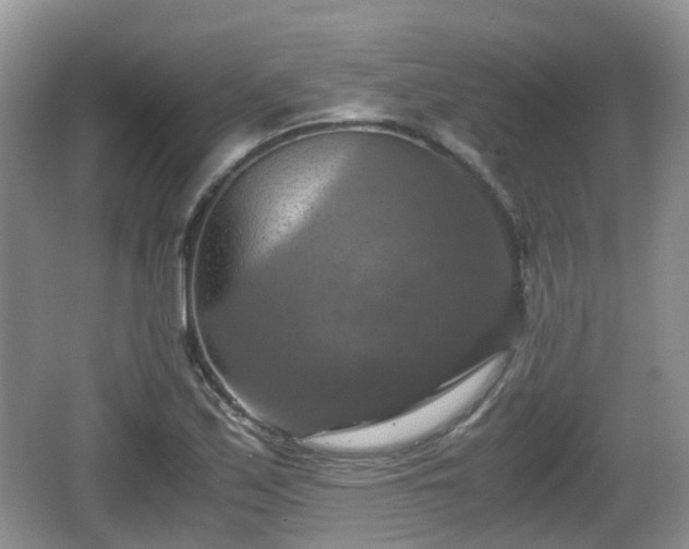 X0000066541171200603241403