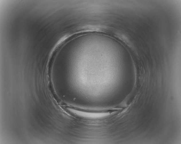 X0000066541172200603241403