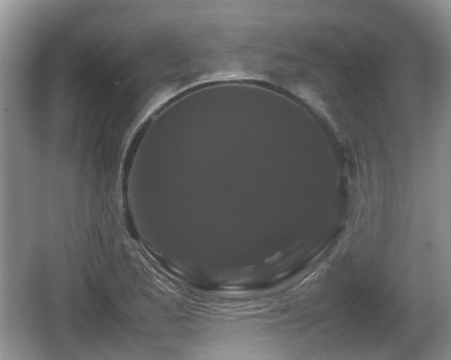 X0000066541173200603241403