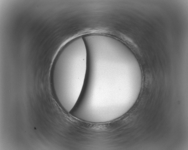 X0000066541174200603241403