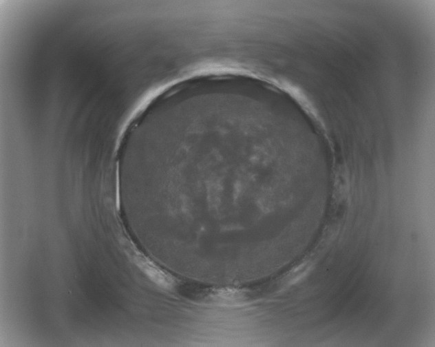 X0000066541175200603241403