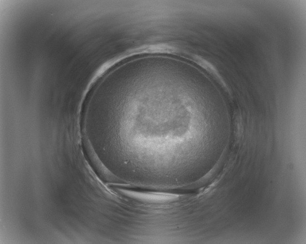 X0000066541176200603241403