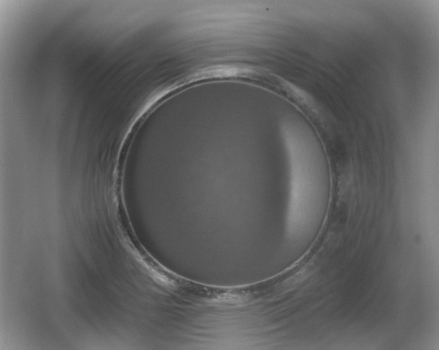 X0000066541178200603241403