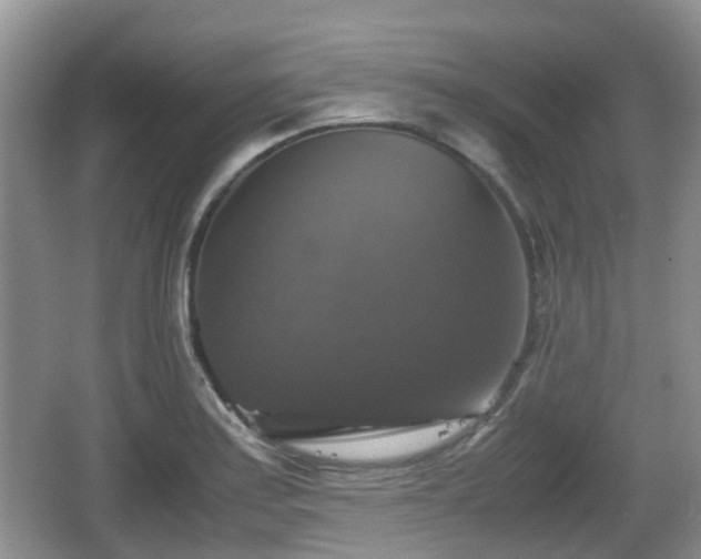 X0000066541179200603241403