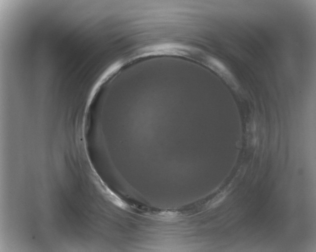 X0000066541180200603241403