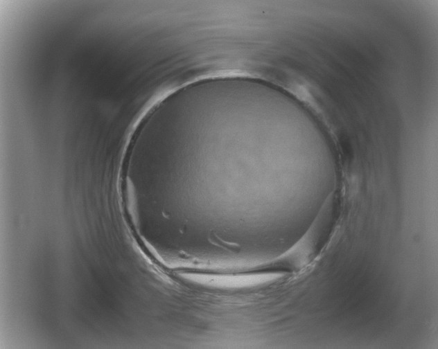 X0000066541181200603241403