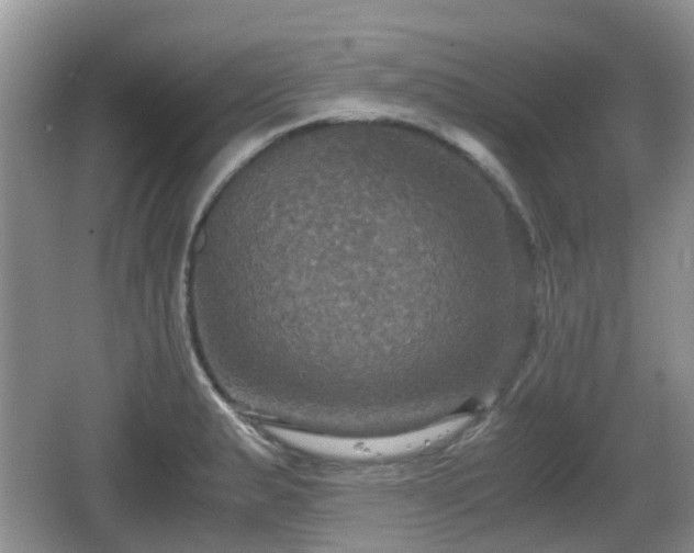 X0000066541183200603241403