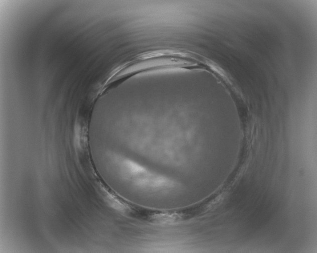 X0000066541185200603241403