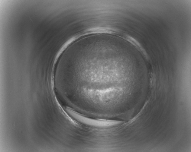 X0000066541188200603241403