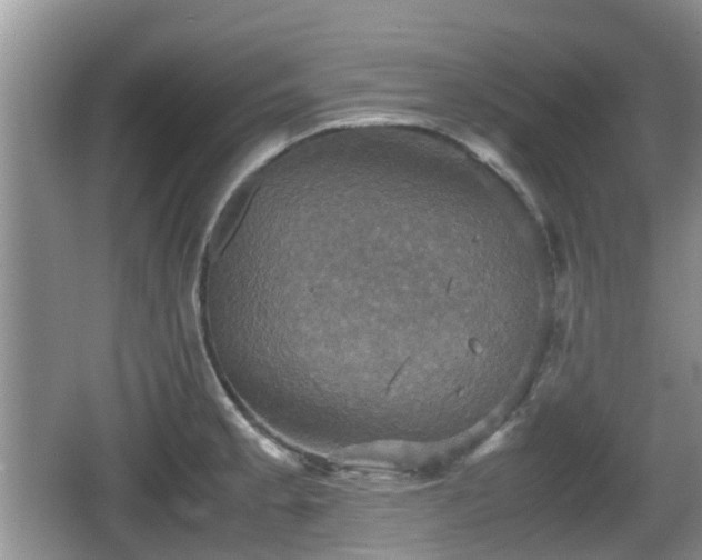 X0000066541189200603241403