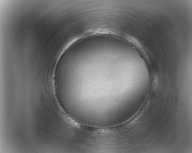 X0000066541190200603241403