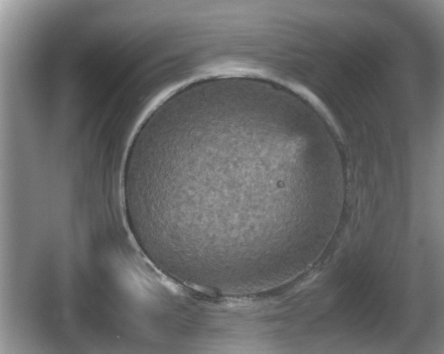 X0000066541191200603241403