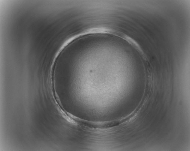 X0000066541192200603241403