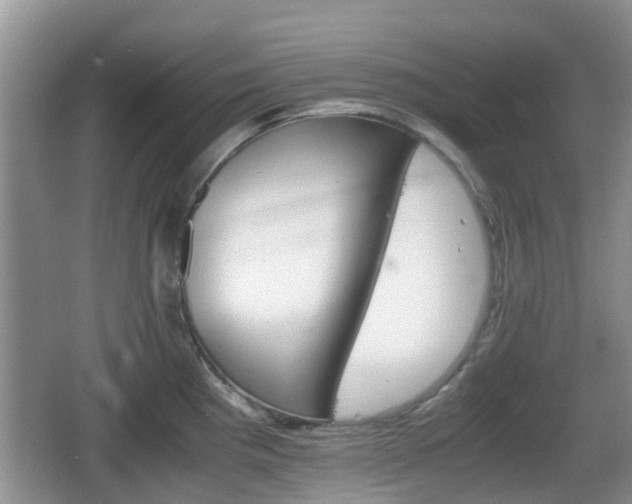 X0000066541193200603241403