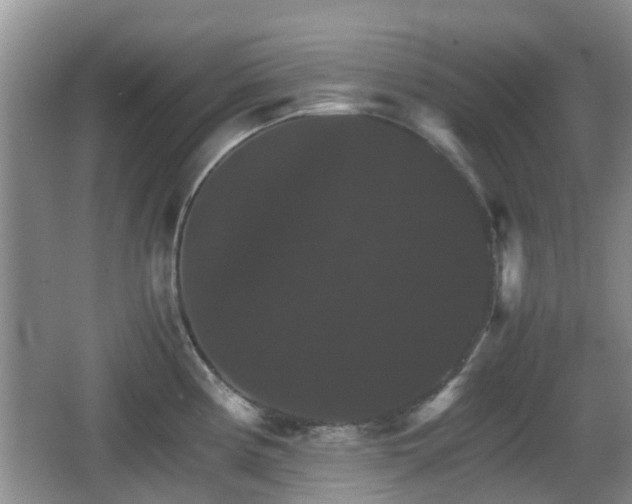 X0000066541194200603241403