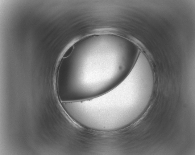 X0000066541196200603241403