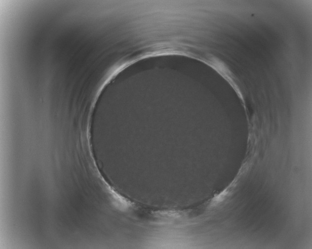 X0000066541197200603241403