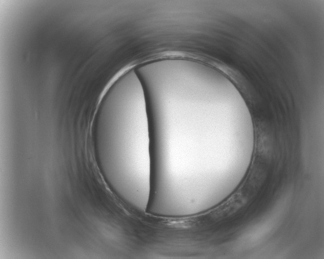 X0000066541198200603241403