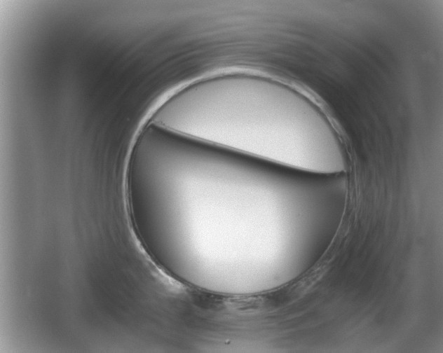 X0000066541199200603241403