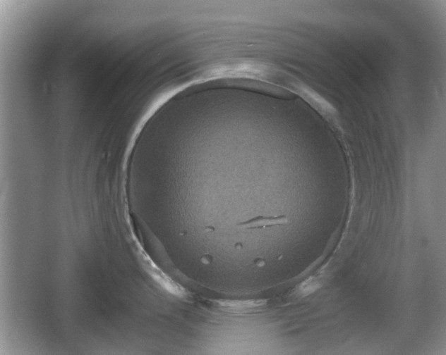 X0000066541200200603241403