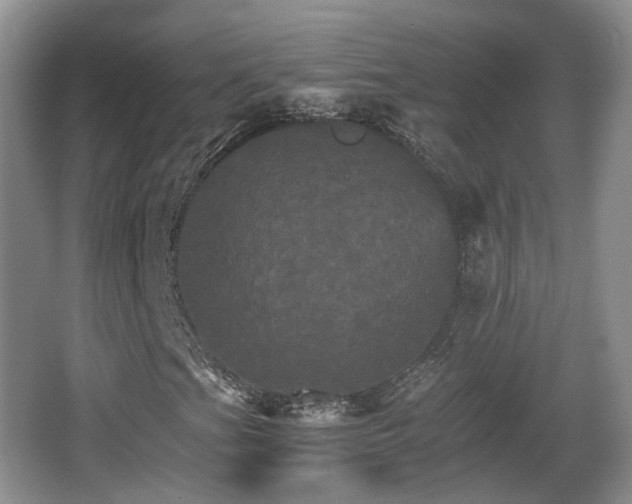 X0000066541201200603241402