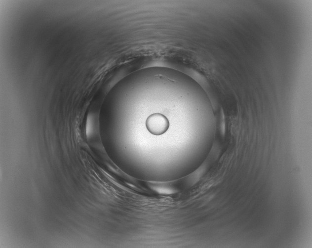 X0000066541202200603241402