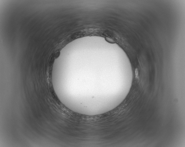 X0000066541203200603241402