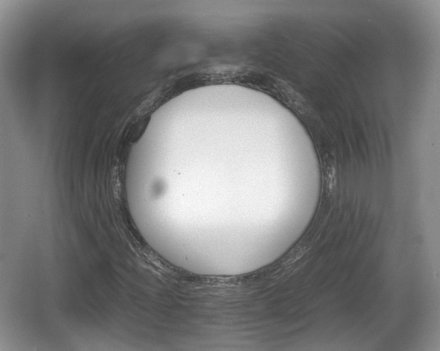 X0000066541204200603241402