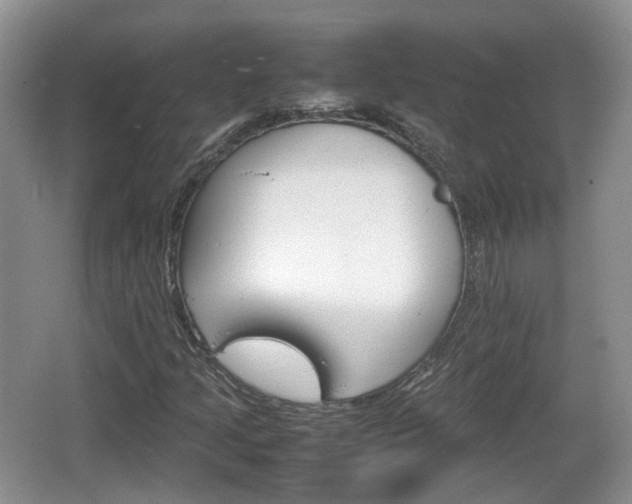 X0000066541205200603241402