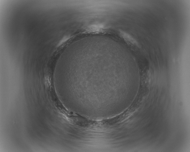 X0000066541206200603241402