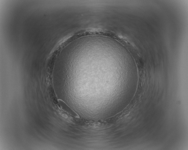 X0000066541207200603241402