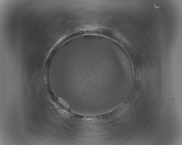 X0000066541208200603241402