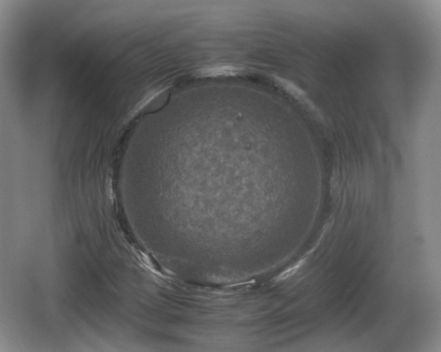 X0000066541209200603241402