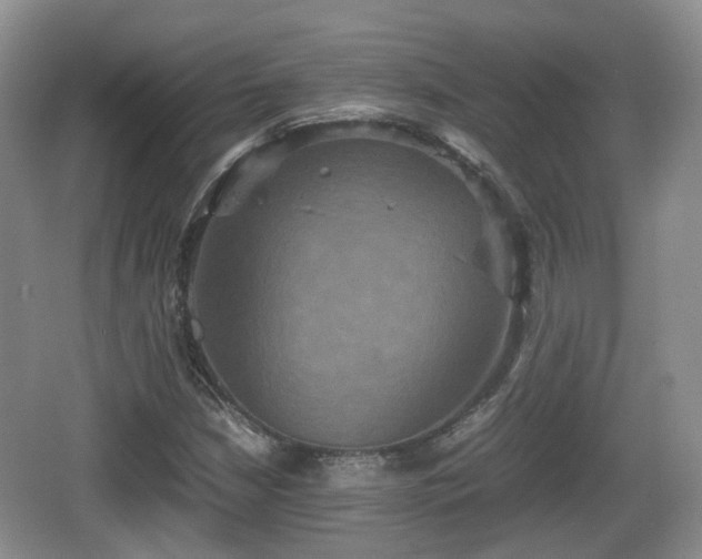 X0000066541210200603241402