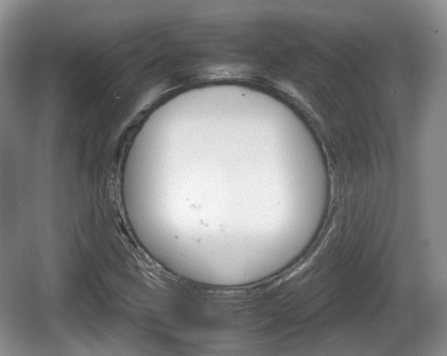 X0000066541211200603241402