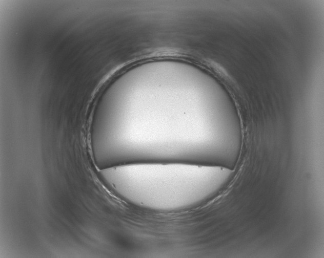 X0000066541212200603241402