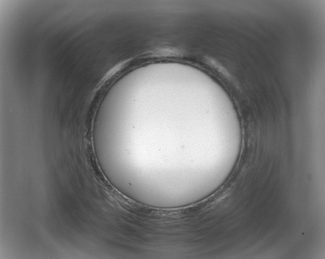 X0000066541213200603241402