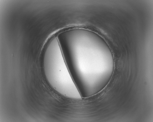 X0000066541214200603241402