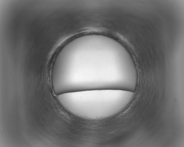 X0000066541215200603241402