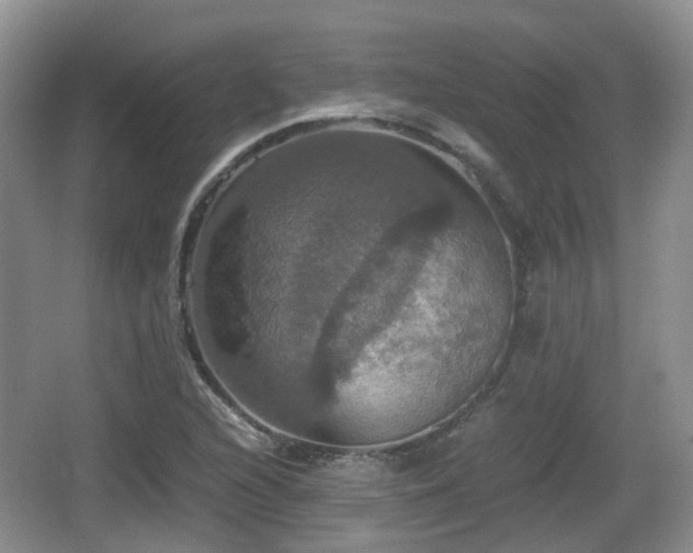 X0000066541216200603241402