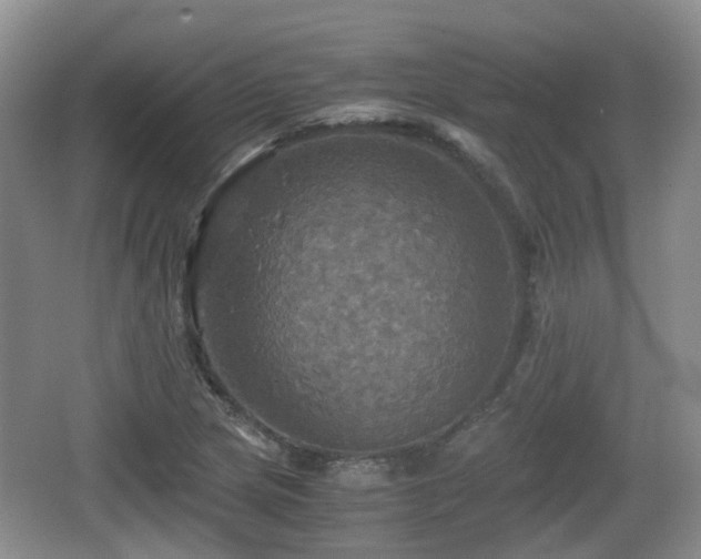 X0000066541217200603241402