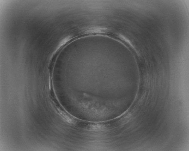 X0000066541219200603241402