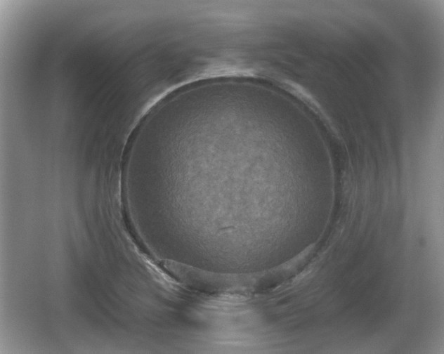 X0000066541220200603241402