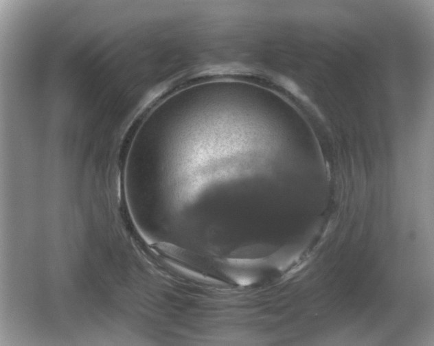 X0000066541221200603241402