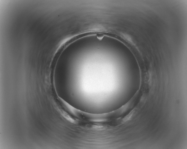 X0000066541222200603241402