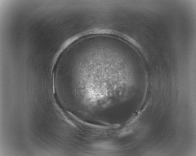 X0000066541223200603241402