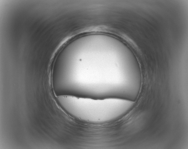 X0000066541224200603241402